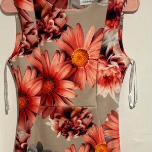 Sleeveless Calvin Klein Sheath Dress Size 4